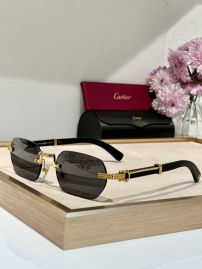 Picture of Cartier Sunglasses _SKUfw56642641fw